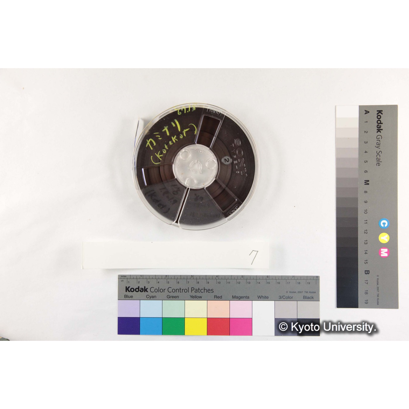 [ケース]7「ゴリラ，バブーン，マンヘイ」 (6)