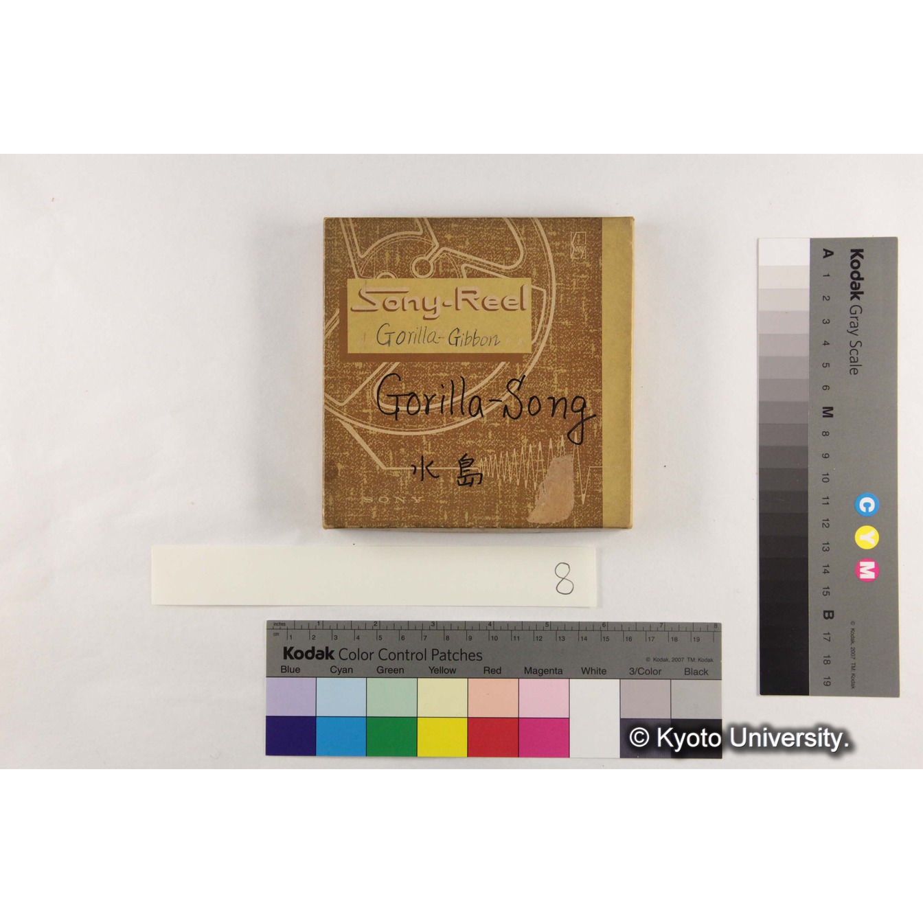 [ケース]8「Gorilla-Gibbon　Gorilla-Song」 (1)