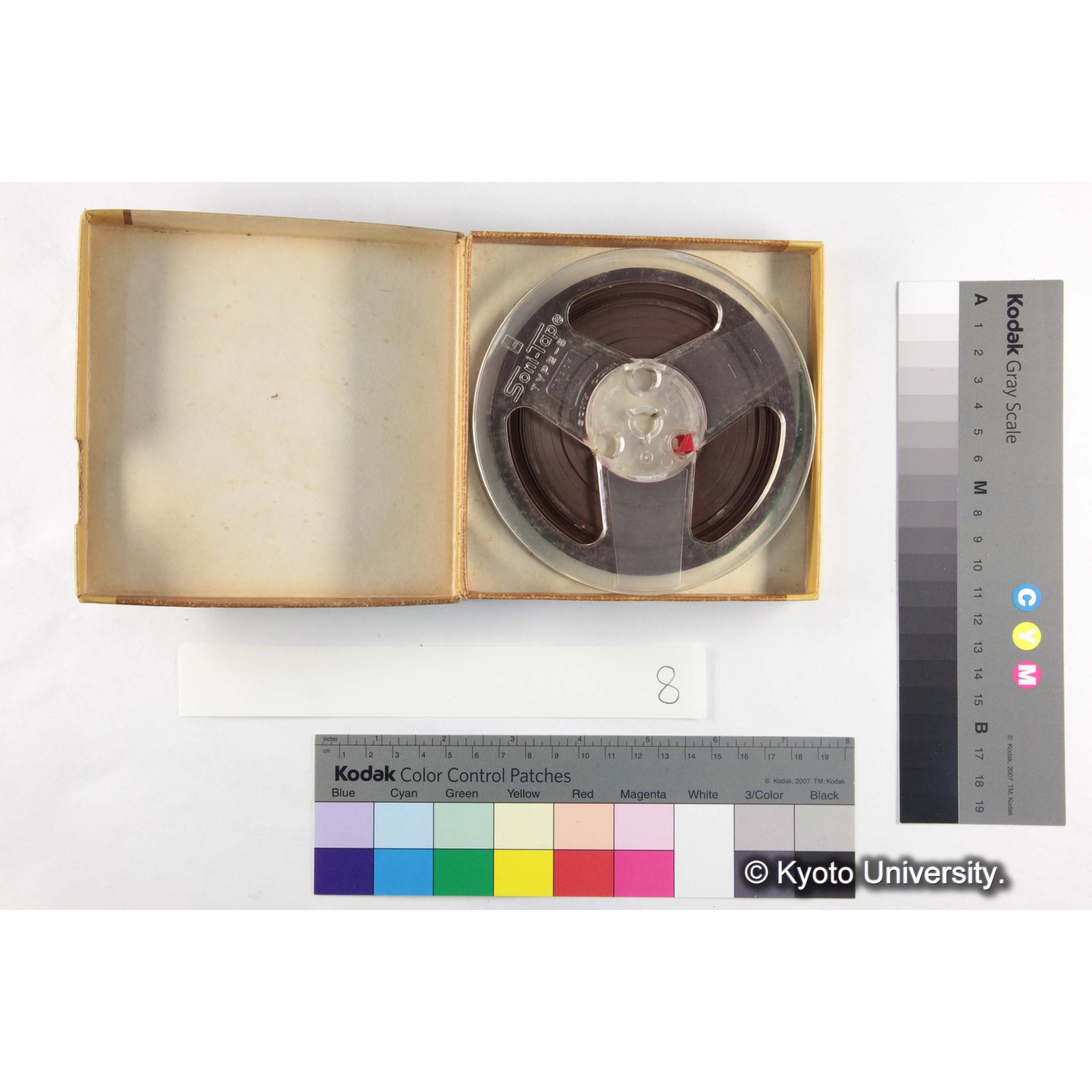 [ケース]8「Gorilla-Gibbon　Gorilla-Song」 (3)