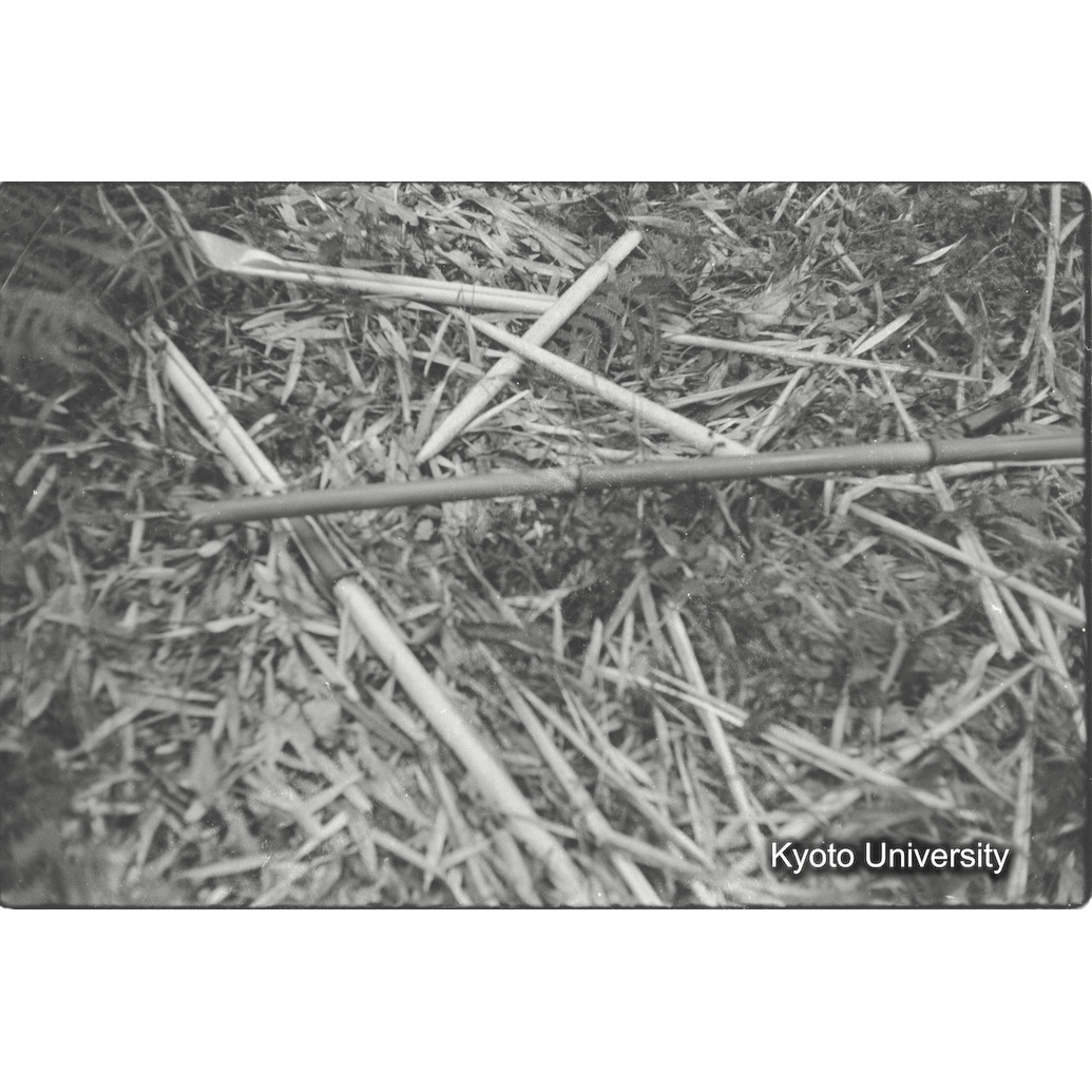 [１１コマ目]「痕跡」 (1)