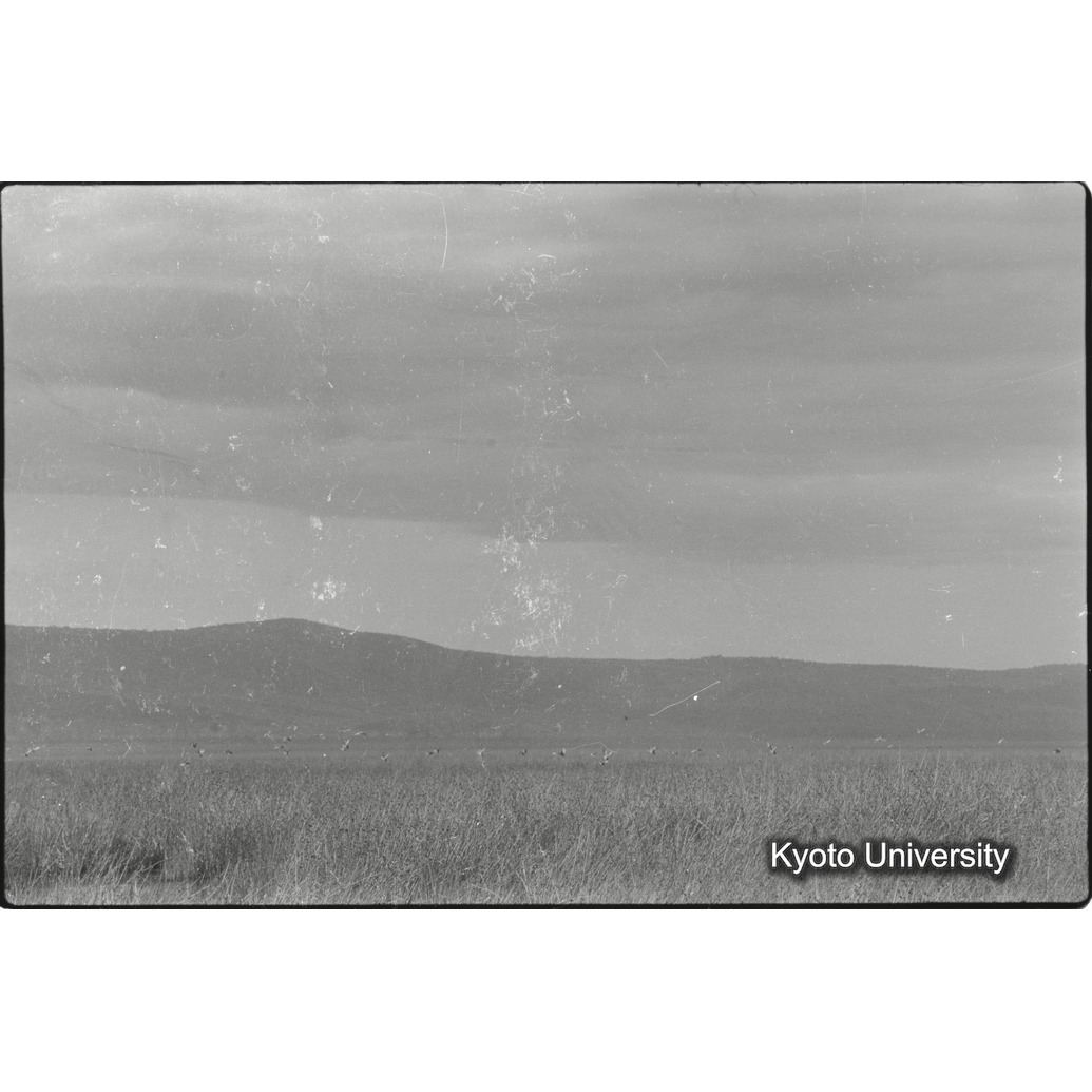 [1コマ目]「×」 (1)