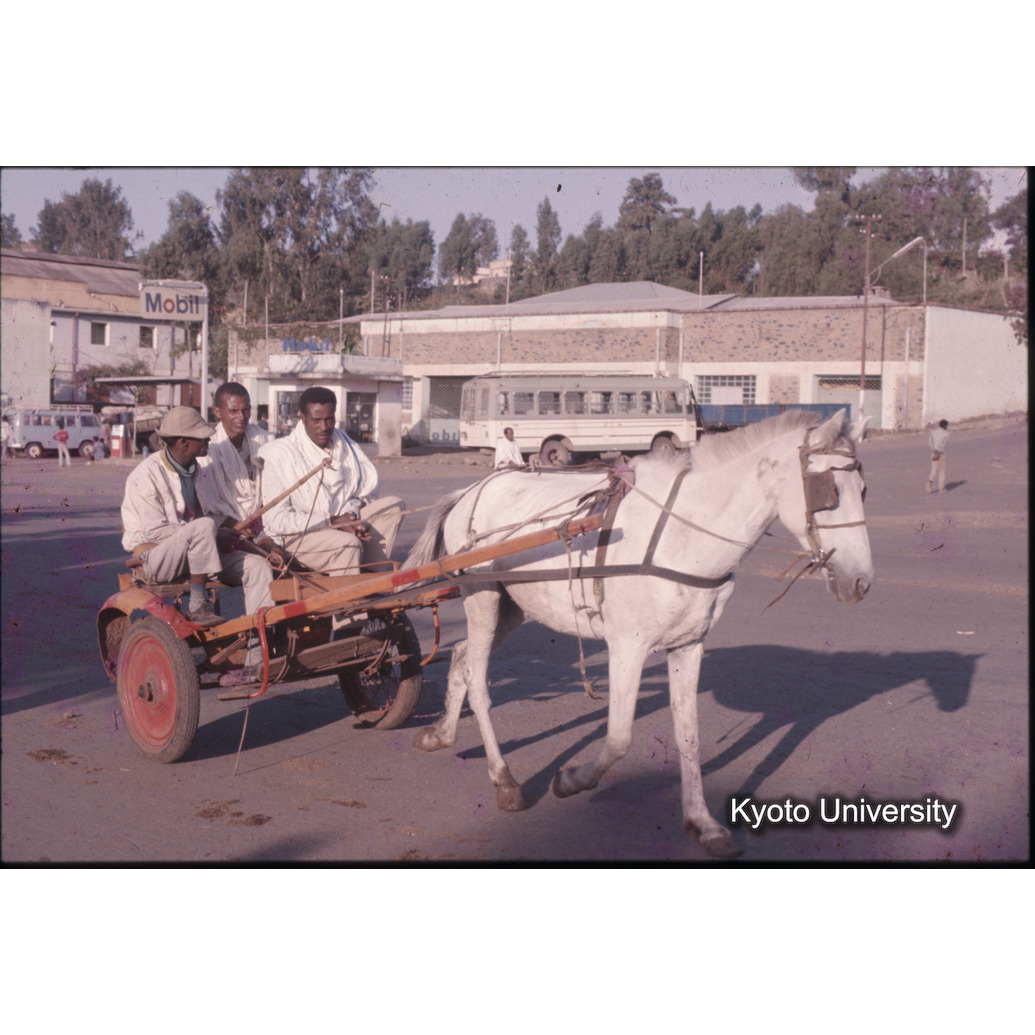 AdAb　1974　17 (1)