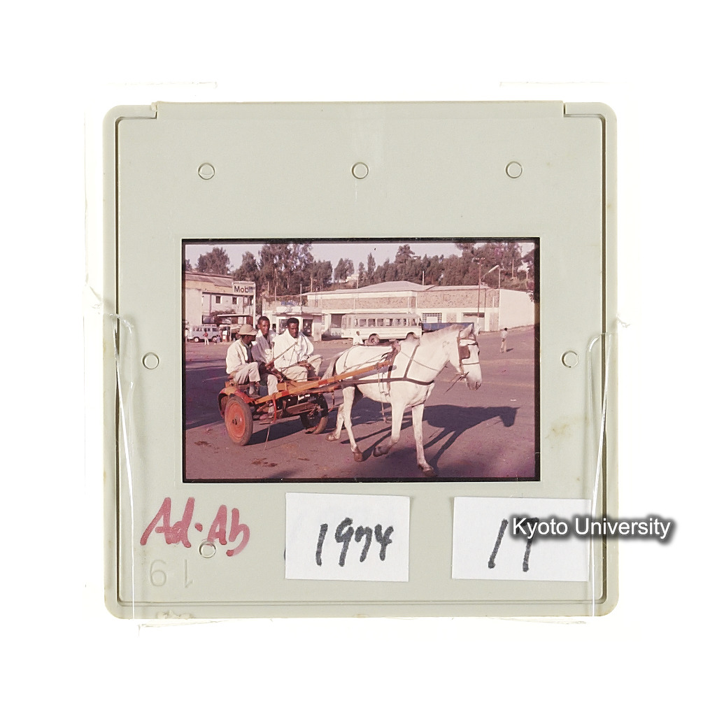 AdAb　1974　17 (2)