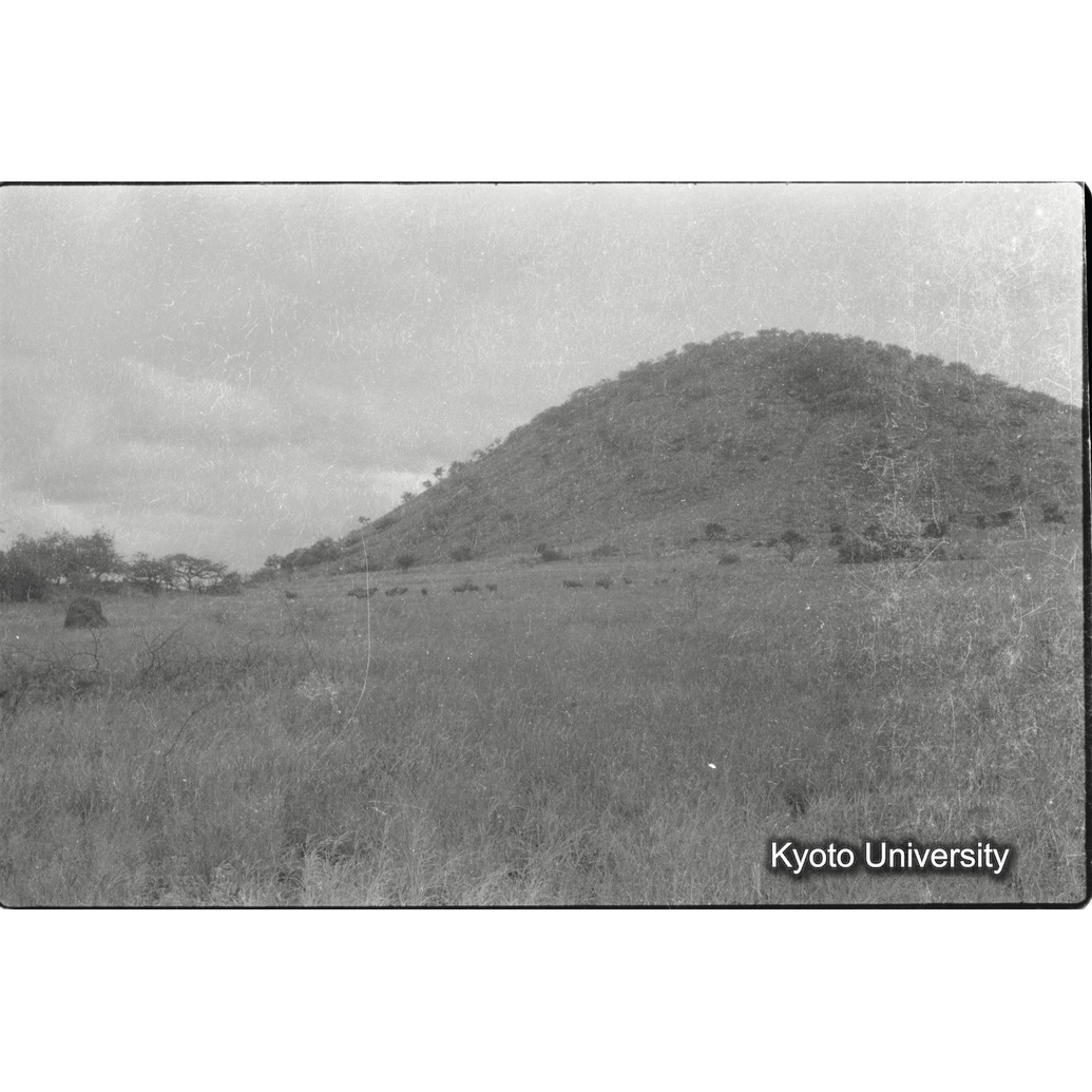 [30コマ目]「×」 (1)