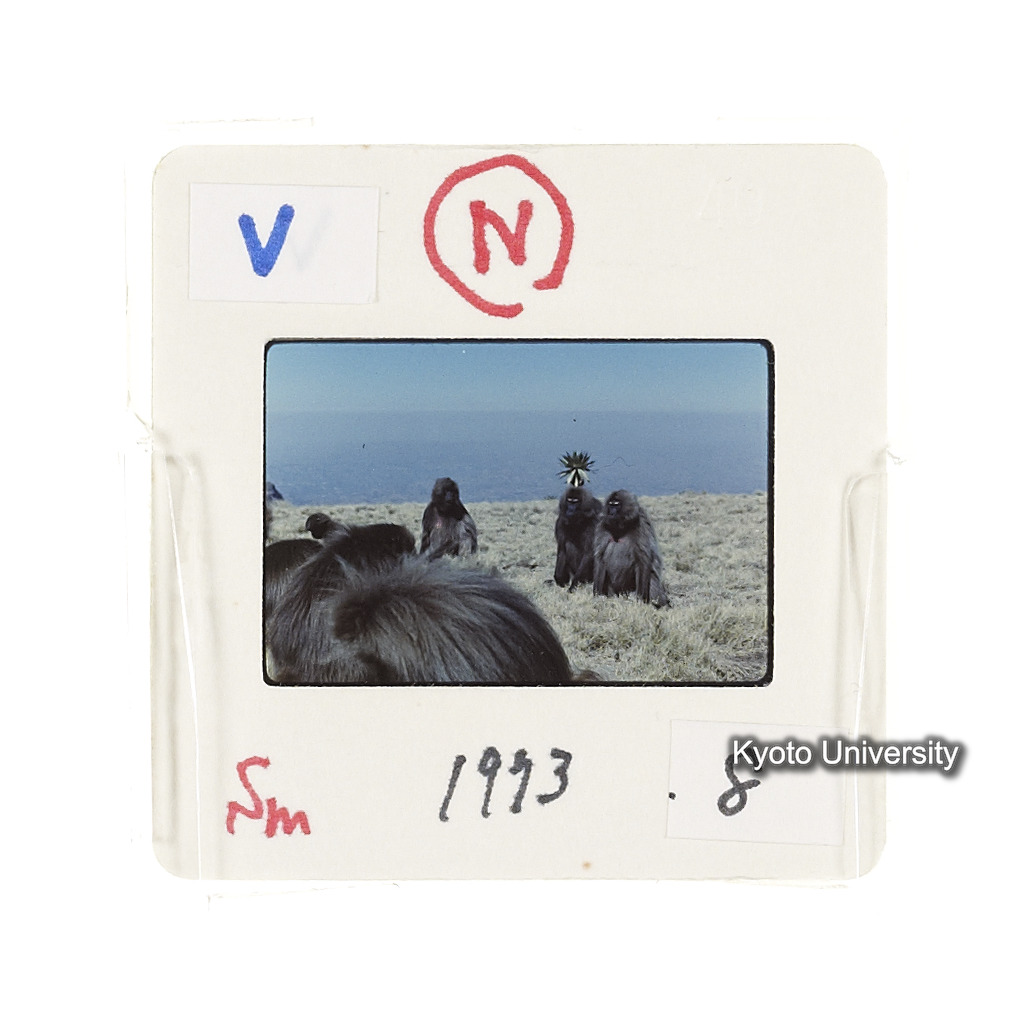 Sm　1973　8　（N）[赤色, 丸囲み] (2)