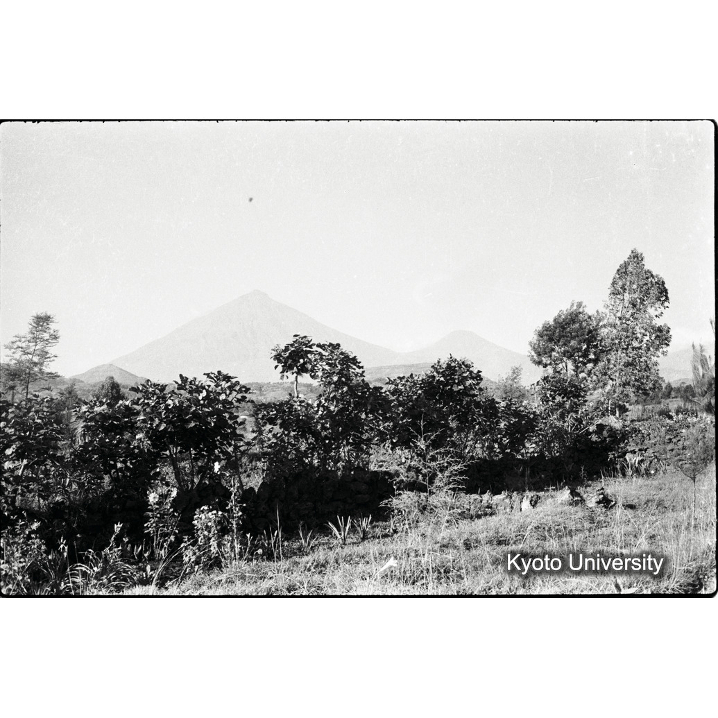 [18コマ目]「ゴリラ・サンクチュアリ遠望」 (1)