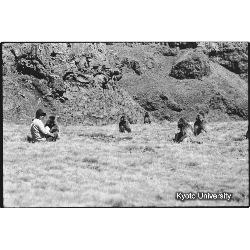 [２９コマ目]「森梅代隊員とアテグ」 (1)