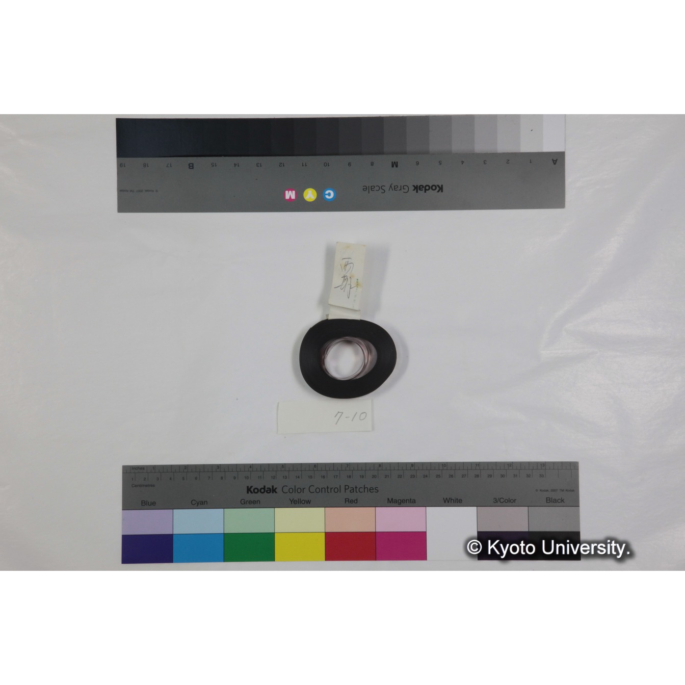 フッテージ１０「「雨期」（表面）　「♂ケンカ　net前」」 (3)