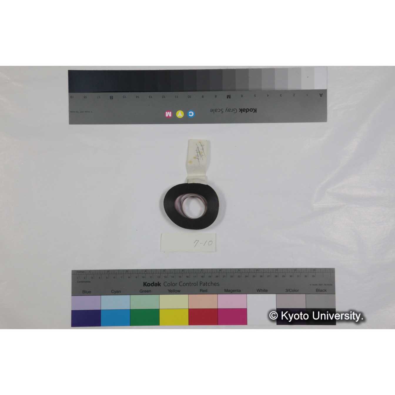 フッテージ１０「「雨期」（表面）　「♂ケンカ　net前」」 (4)