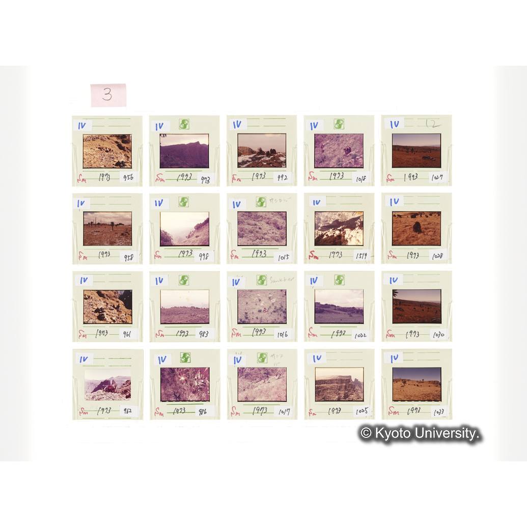 [スライドシート] 3 (1)