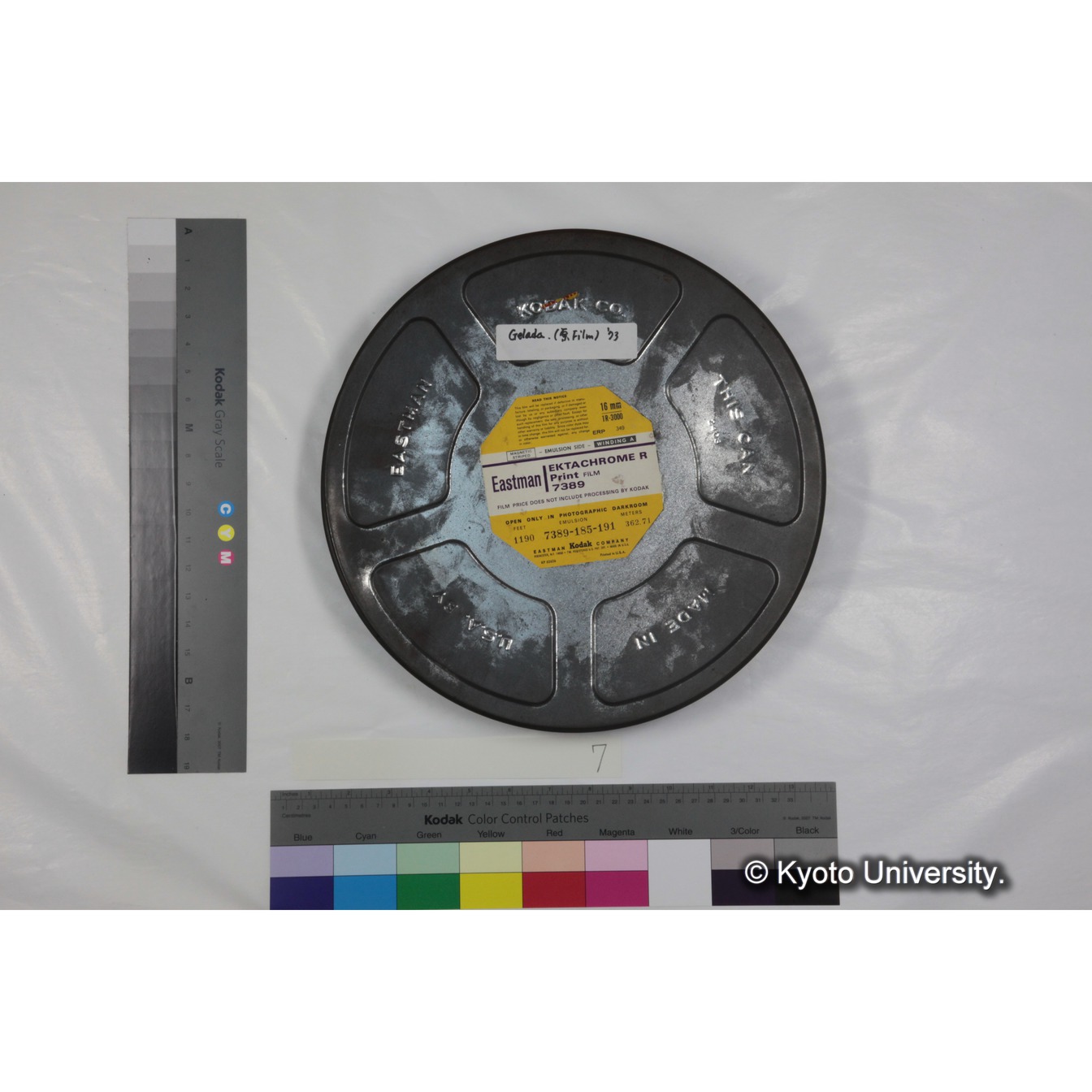 [ケース]7 「ゲラダヒヒの社会，セミエン（1973-1974）素材」 (1)