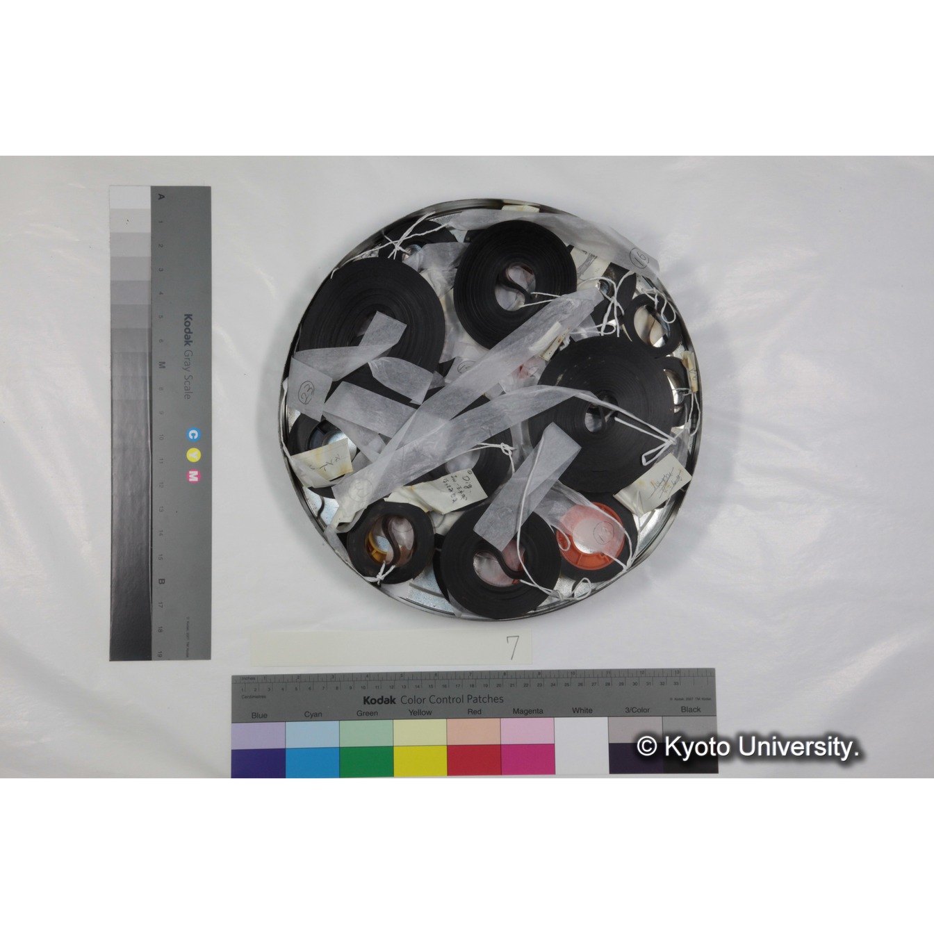 [ケース]7 「ゲラダヒヒの社会，セミエン（1973-1974）素材」 (2)