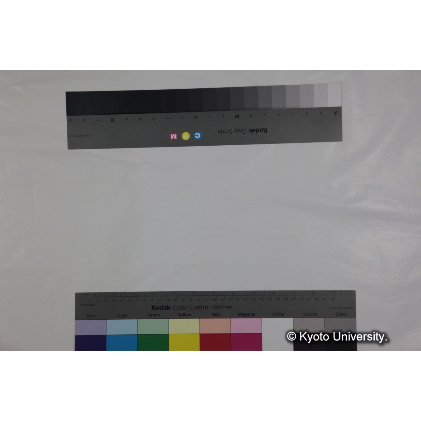 [ケース]7 「ゲラダヒヒの社会，セミエン（1973-1974）素材」 (4)