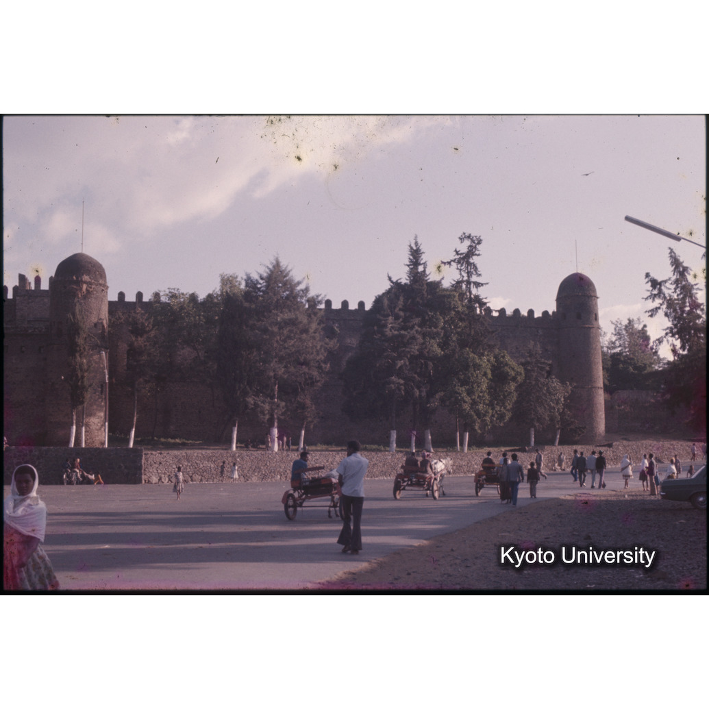 AdAb　1974　53 (1)