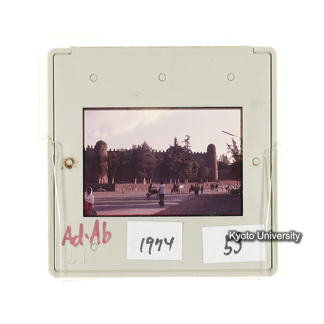 AdAb　1974　53 (2)