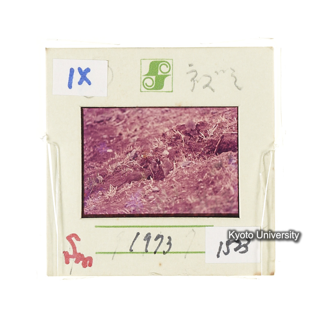 Sm　1973　1523 (2)