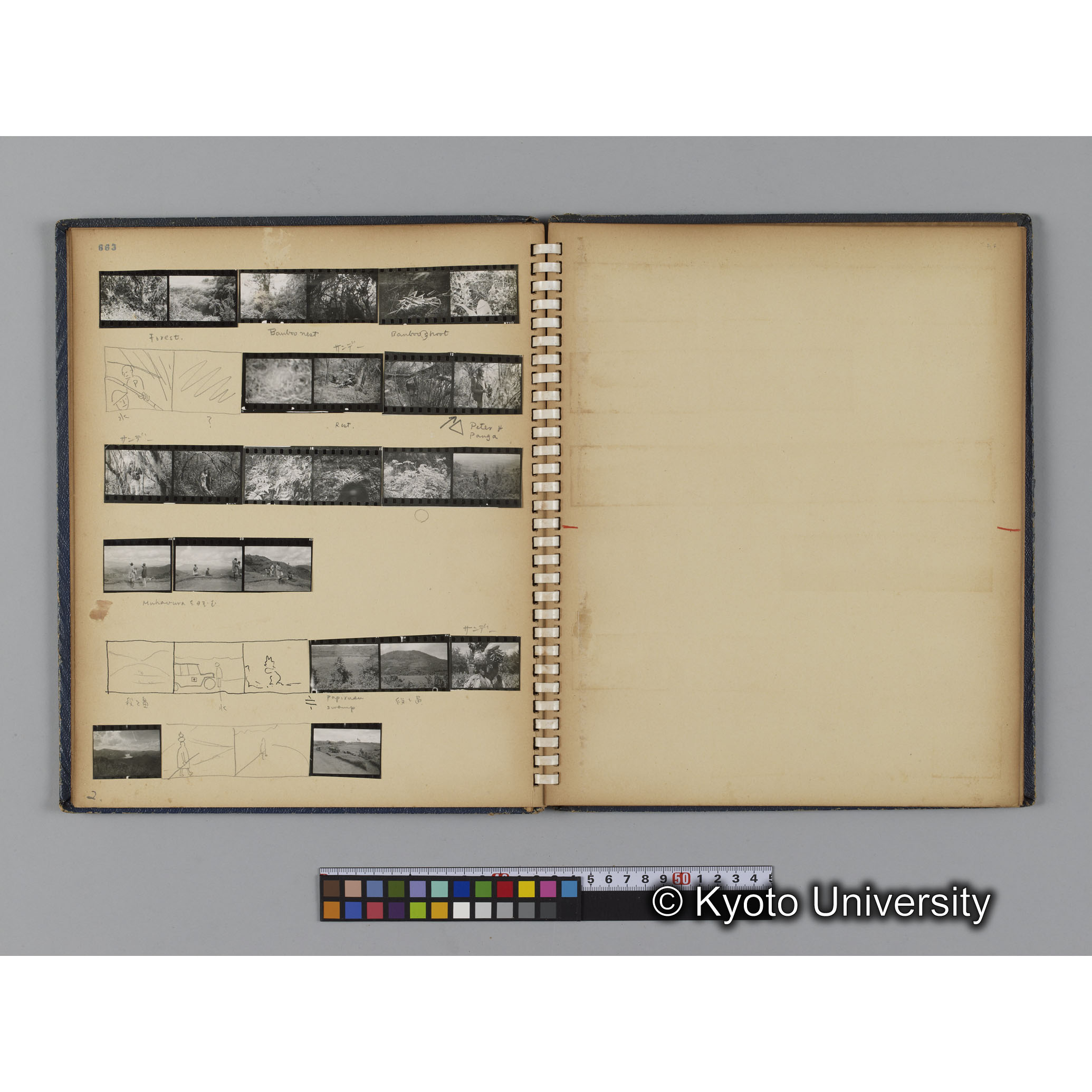 ゴリラ探検写真アルバム３「ゴリラサンクチュアリでの調査」（コンタクトシート662～666対応分） (4)