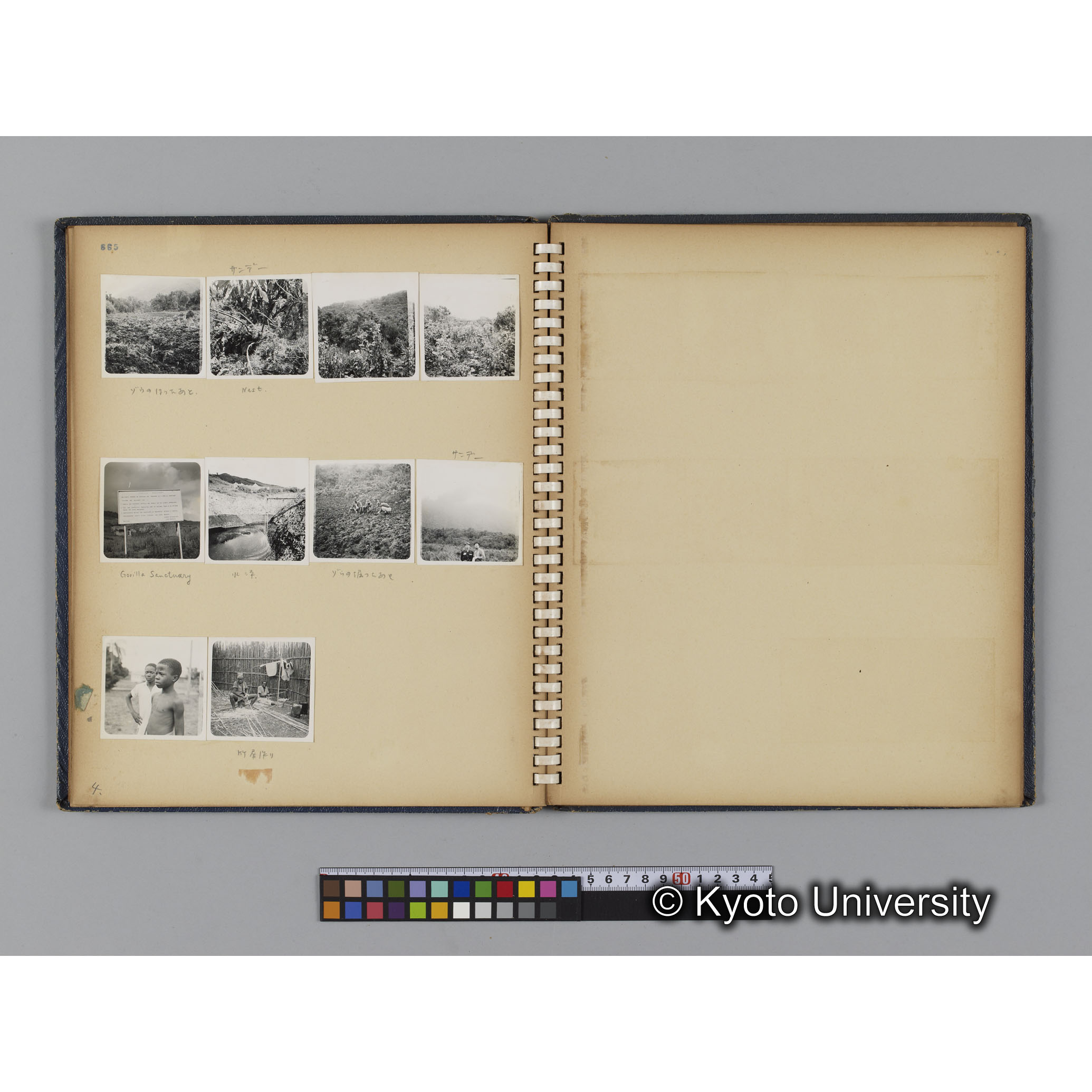 ゴリラ探検写真アルバム３「ゴリラサンクチュアリでの調査」（コンタクトシート662～666対応分） (6)
