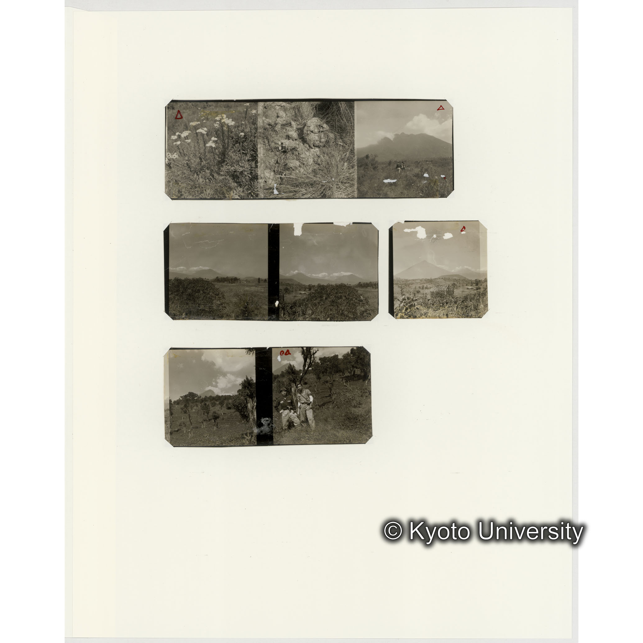 [ネガフィルムスリーブ39]「６６０」 (2)