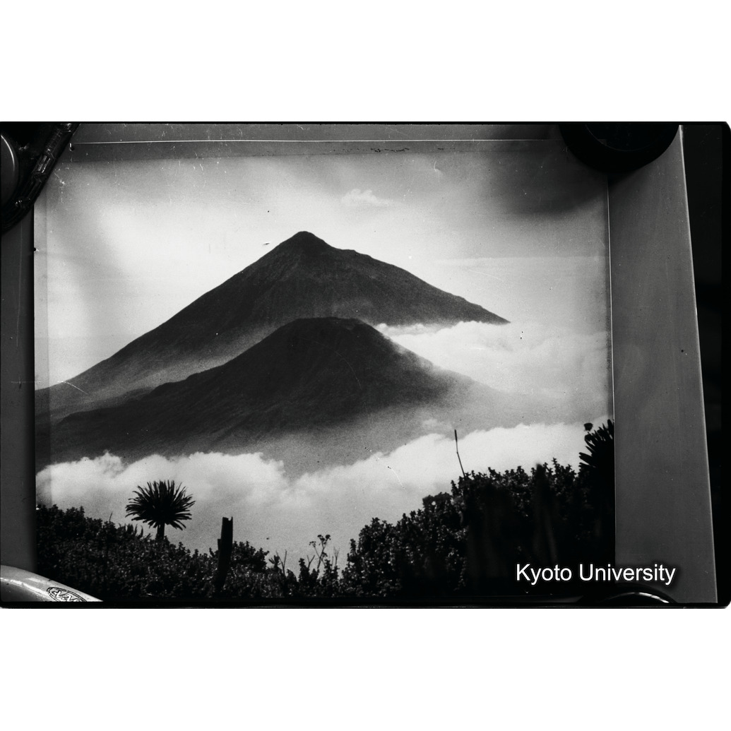 [１７コマ目]「ムハブラとムガヒンガ」 (1)