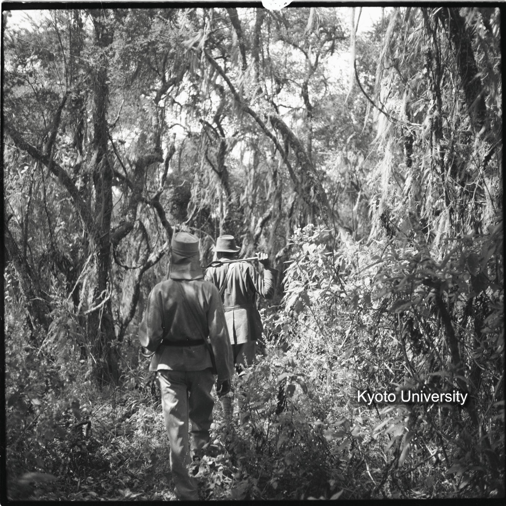 [10コマ目]「調査行（ムハブラ山）」 (1)