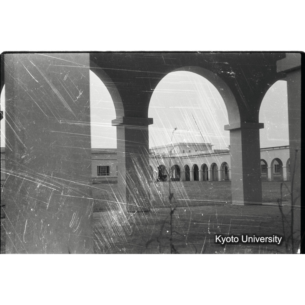 [25コマ目]「IRSAC（イルサック=ベルギー国立コンゴ自然科学研究所）」 (1)