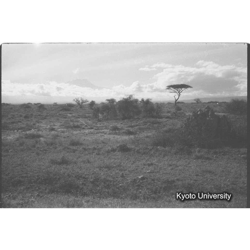 [2コマ目]「サバンナ」 (1)