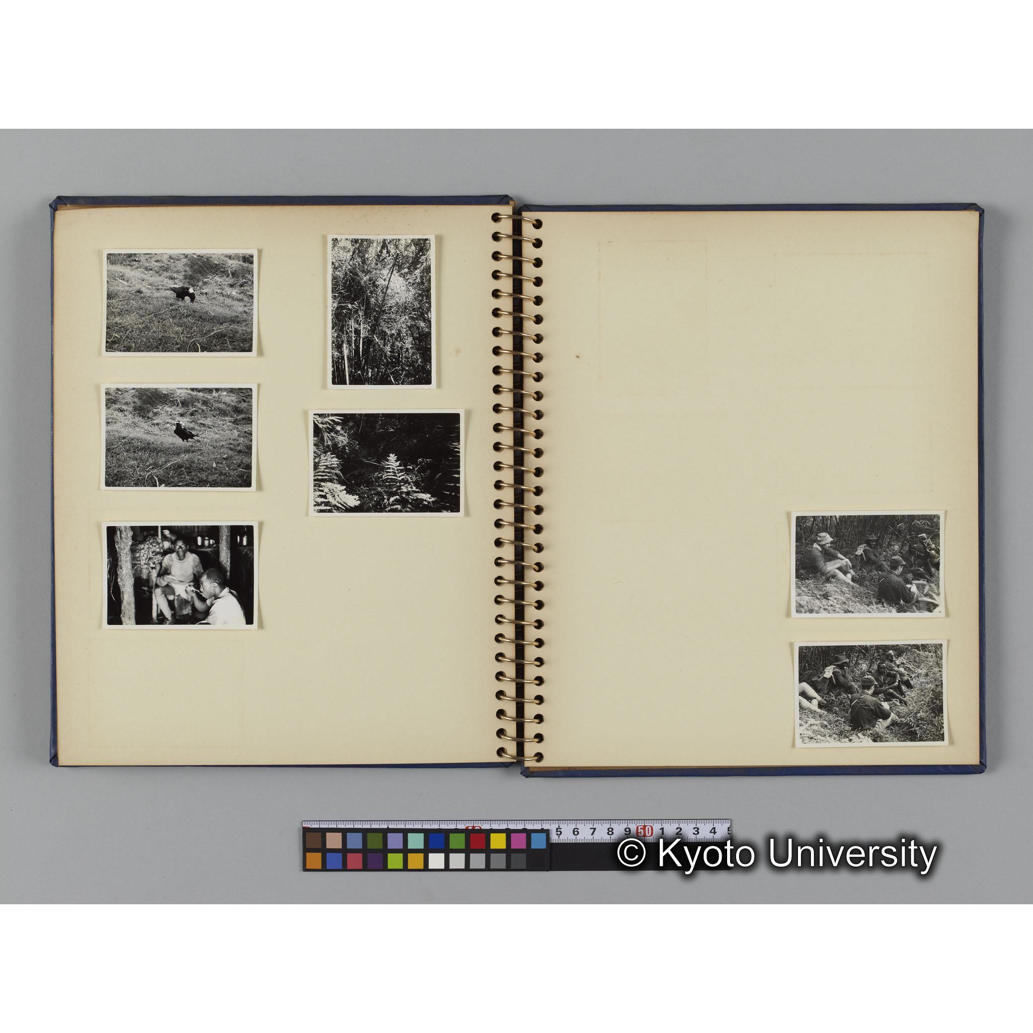 [見開き１４]「調査風景」 (1)