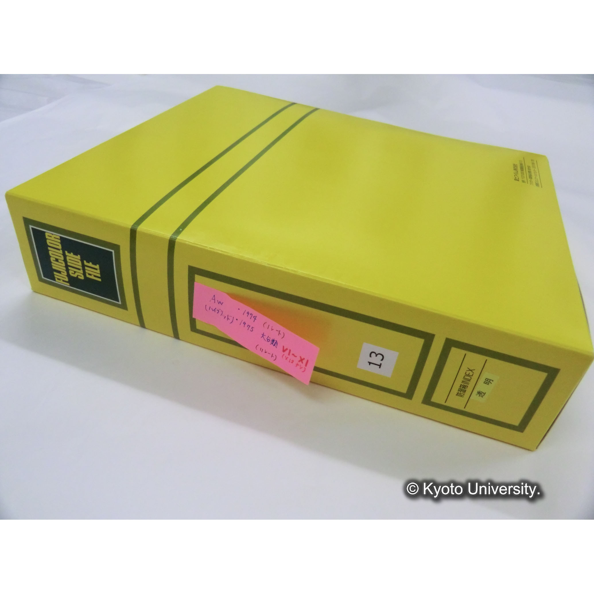 [スライドファイル] Aw （ハイブリッド） ・1974 （1シート） ・1975 大分類VI〜XI（Xはナシ） （11シート） [ラベル]13. (1)