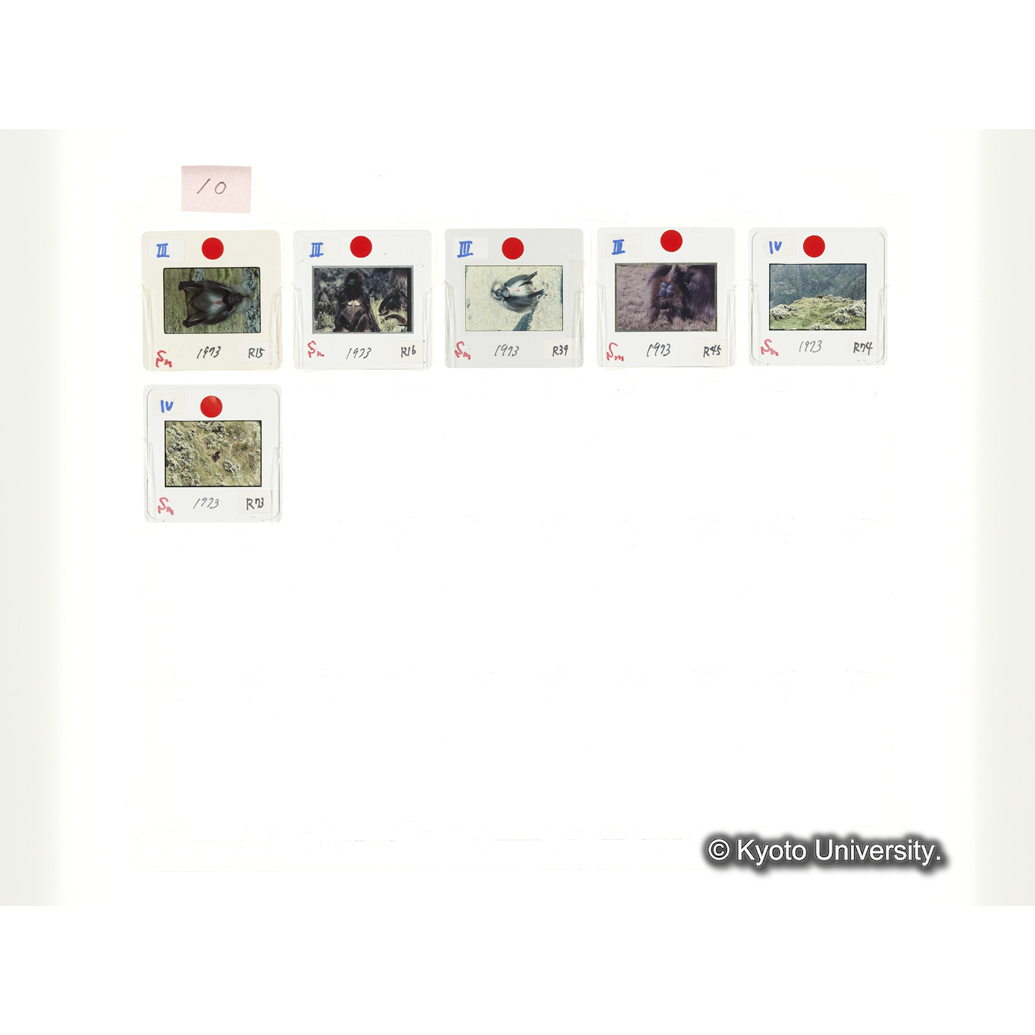 [スライドシート]10 (1)