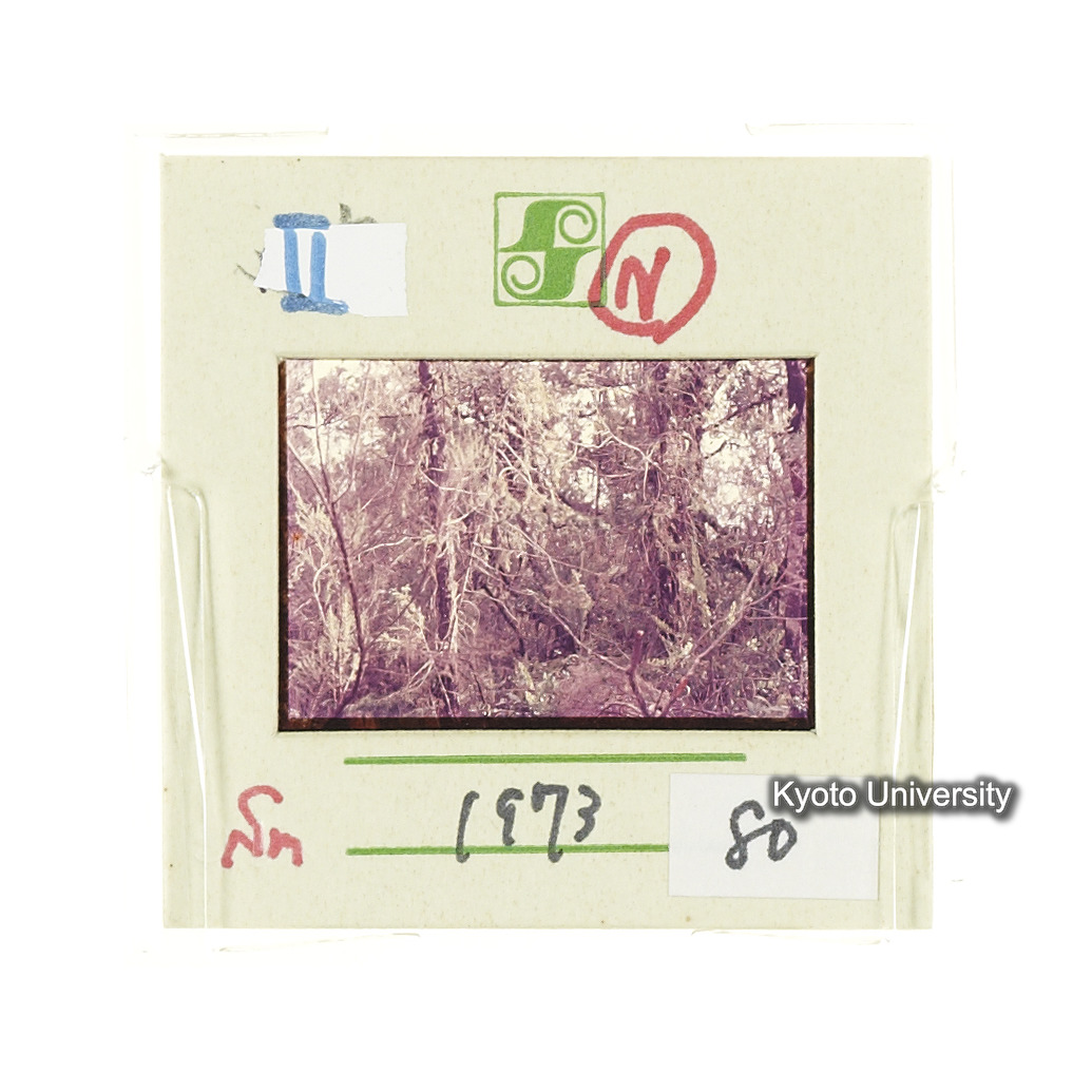 Sm　1973　80　（N）[赤色, 丸囲み] (2)