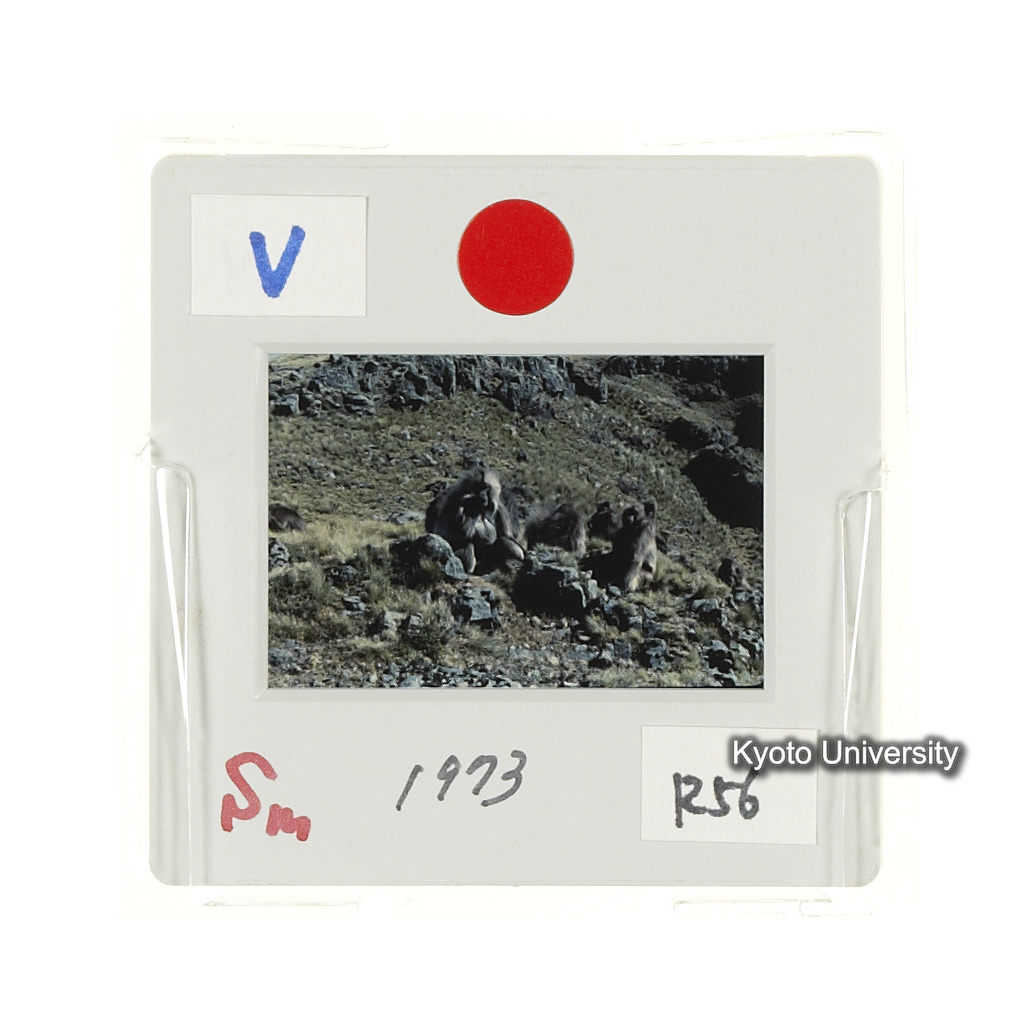 Sm　1973　R56　●[赤色シール] (2)