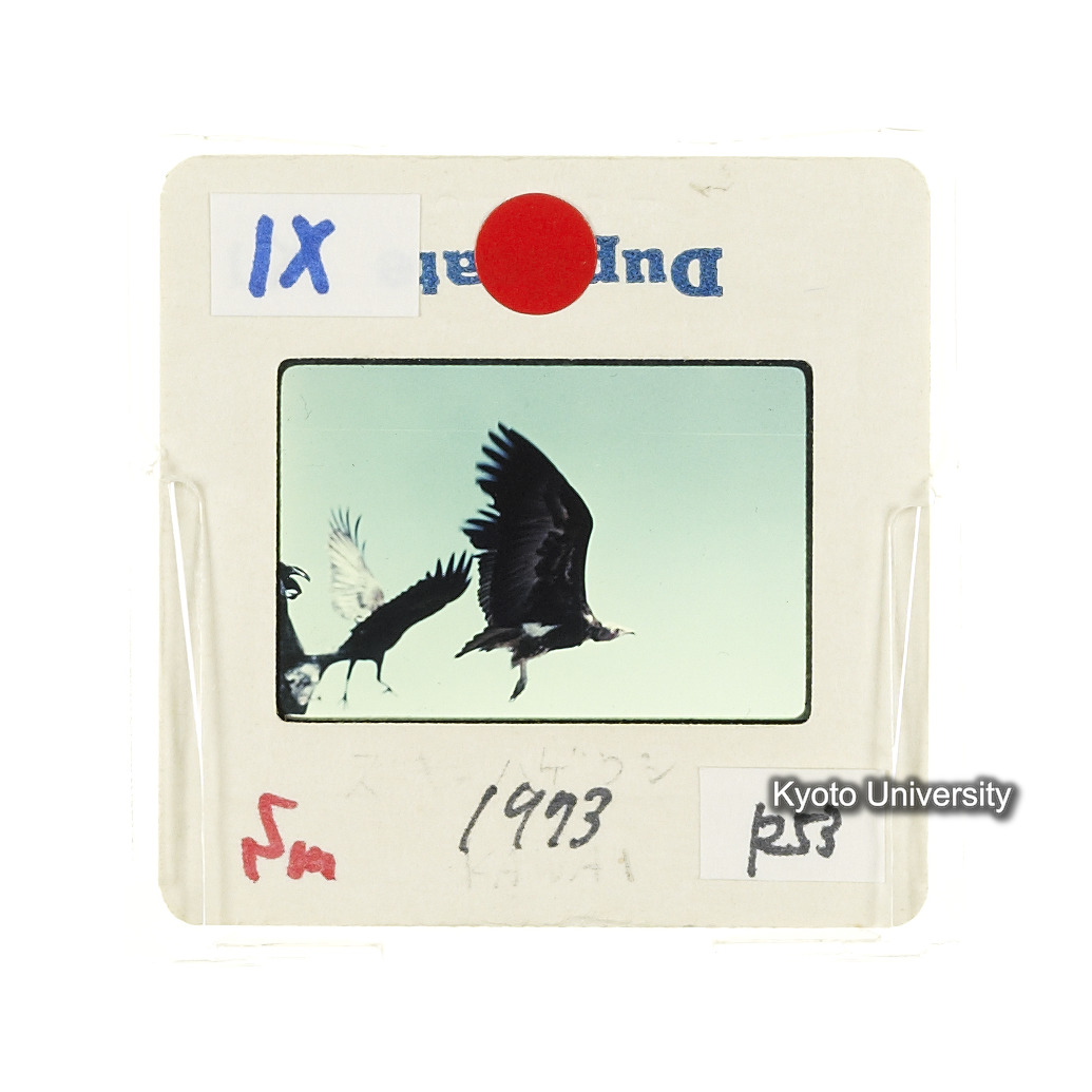 Sm　1973　R53　●[赤色シール] (2)