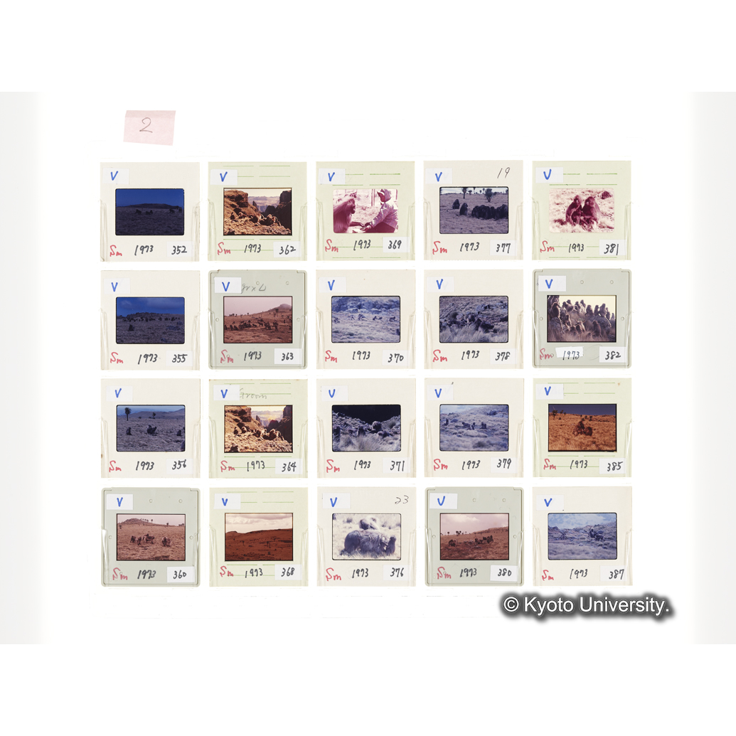 [スライドシート] 2 (1)