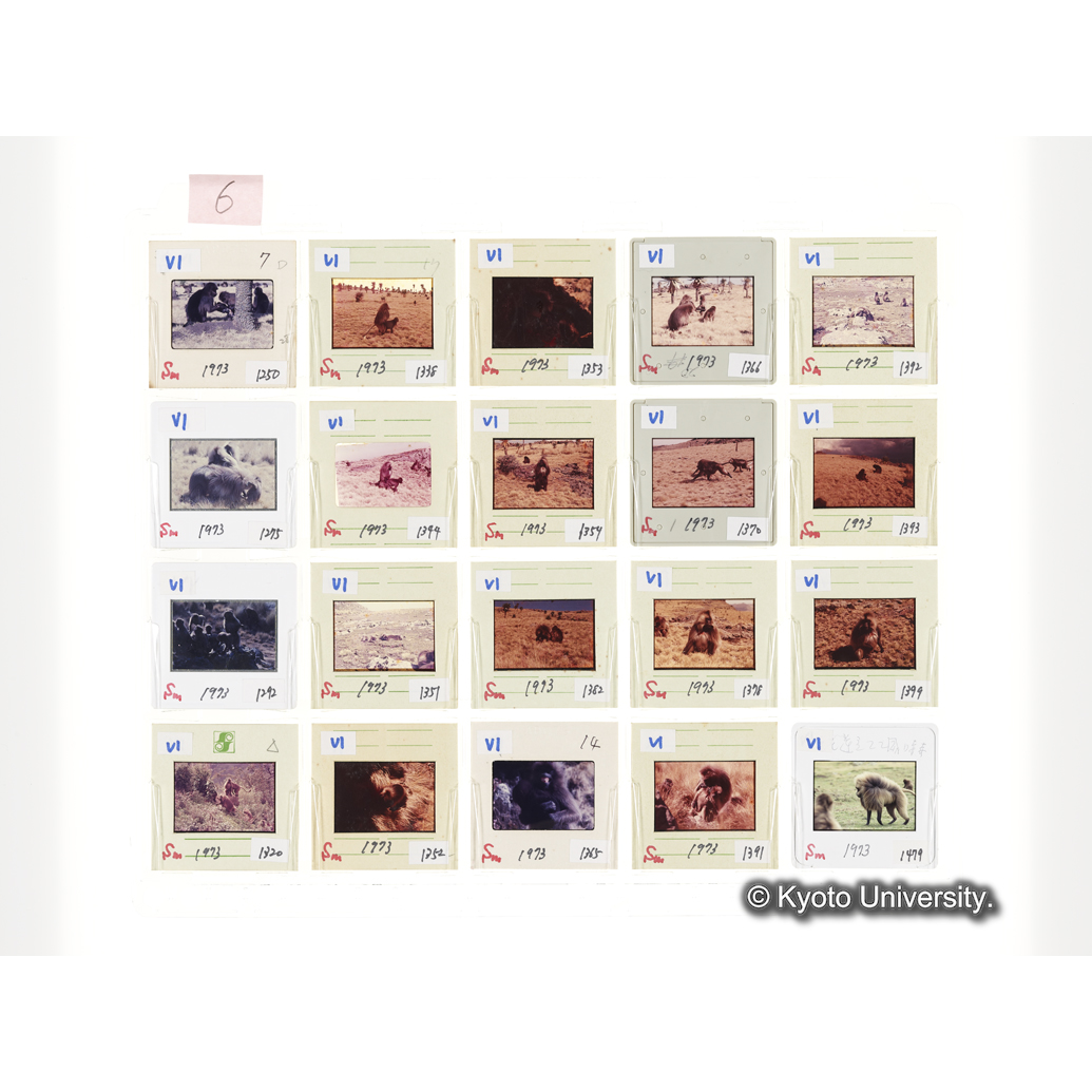 [スライドシート] 6 (1)