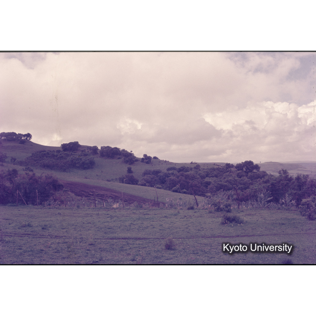 Sm　1973　1022 (1)