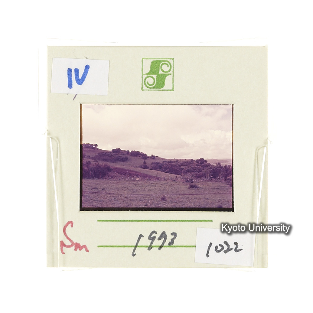 Sm　1973　1022 (2)