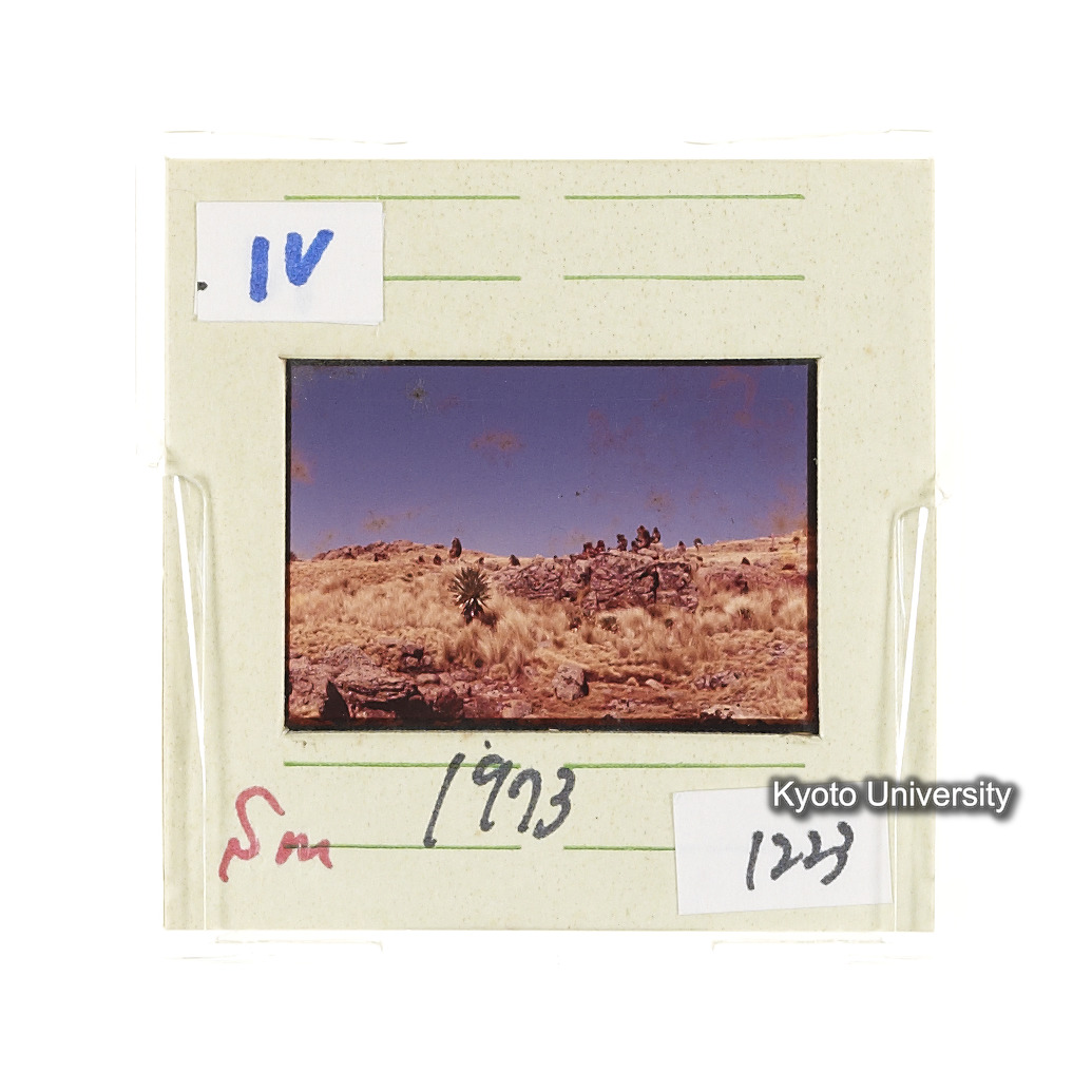 Sm　1973　1223 (2)