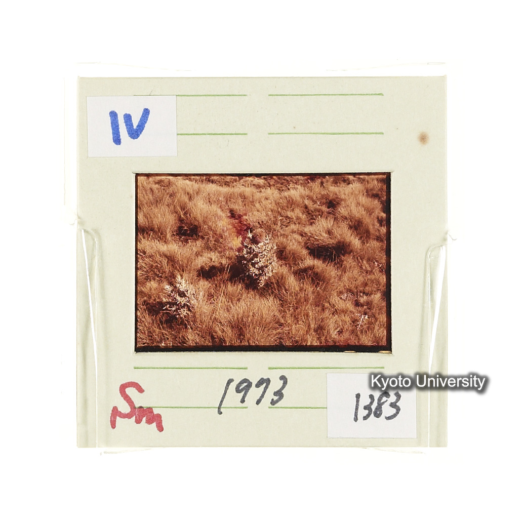 Sm　1973　1383 (2)