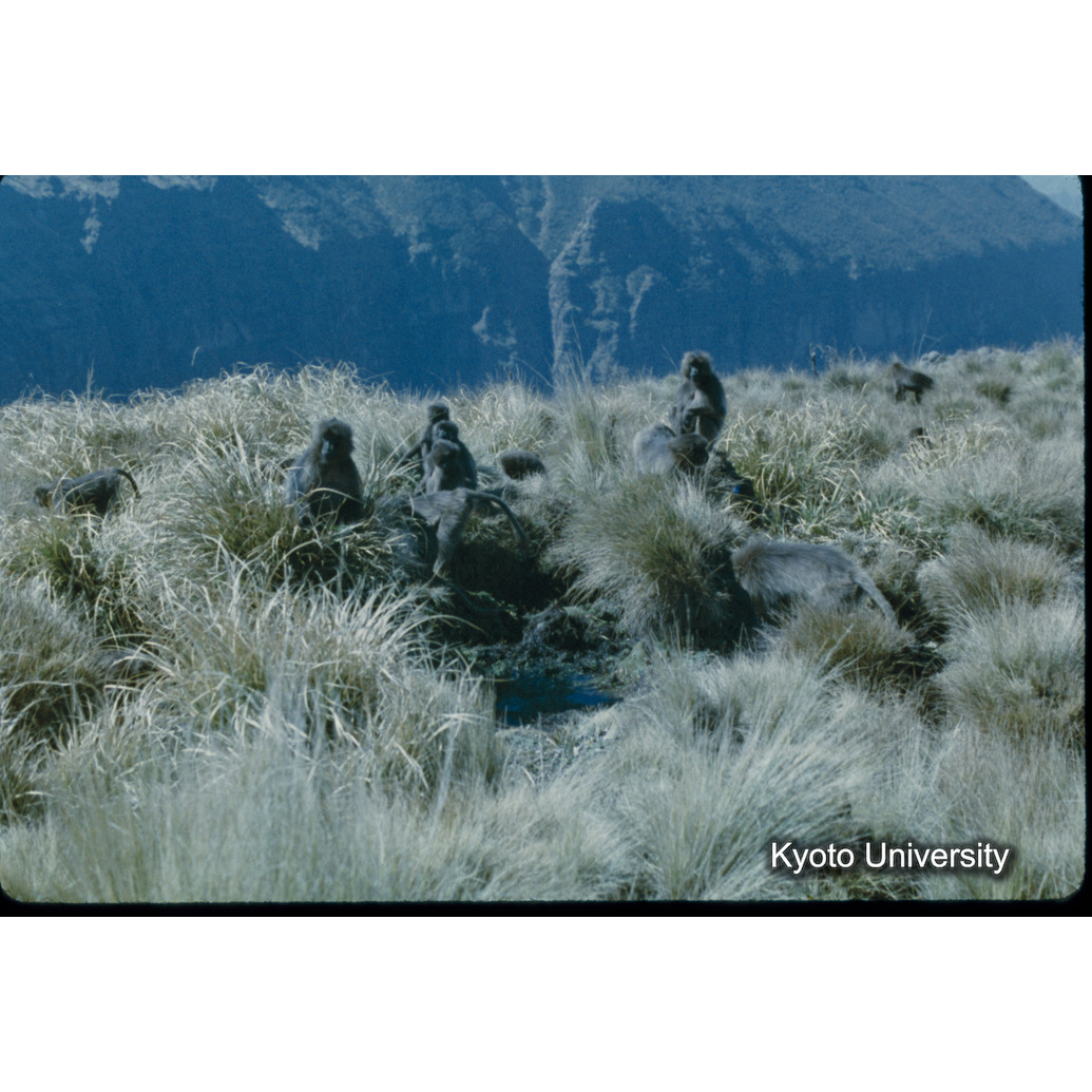 Sm　1973　4　（N）[赤色, 丸囲み] (1)