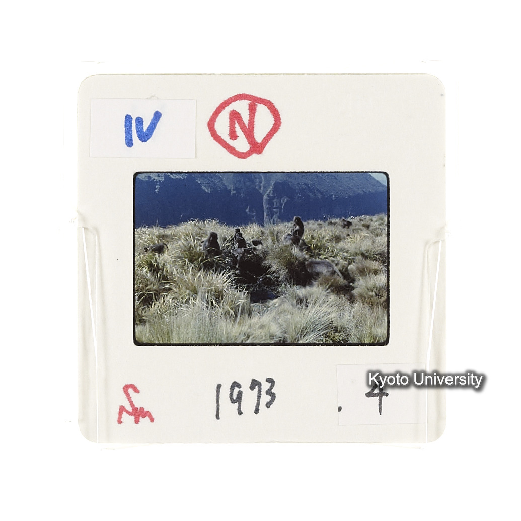 Sm　1973　4　（N）[赤色, 丸囲み] (2)