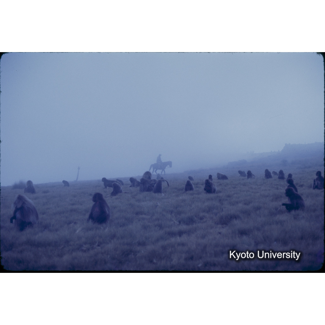 Sm　1973　1297 (1)