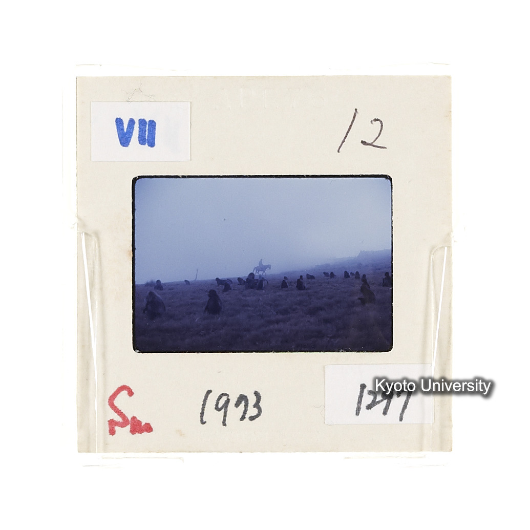 Sm　1973　1297 (2)