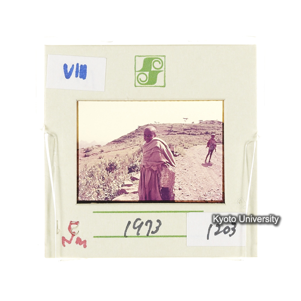 Sm　1973　1203 (2)