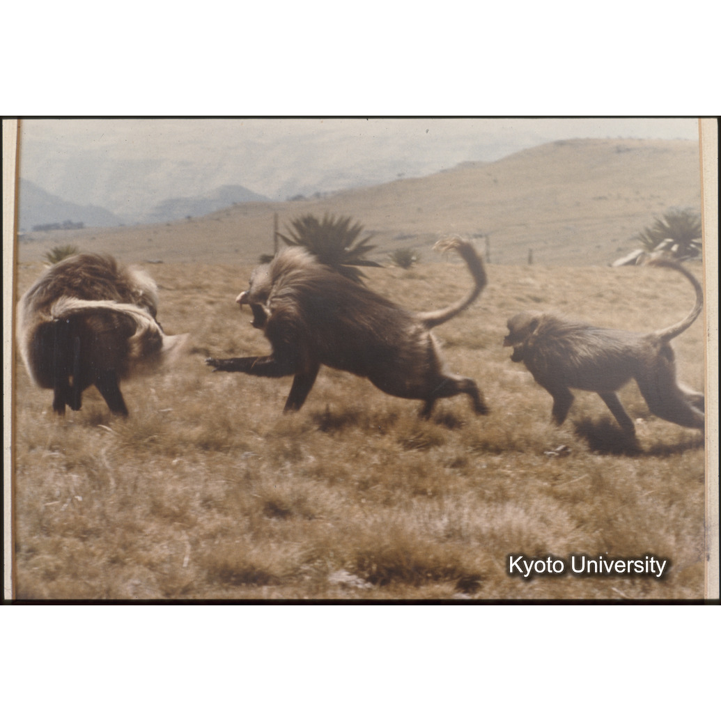 Sm　1973　1531 (1)