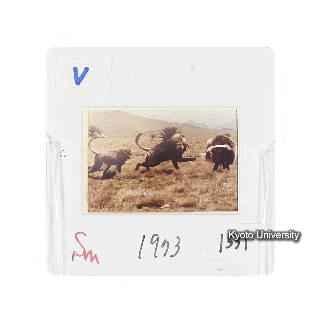 Sm　1973　1531 (2)