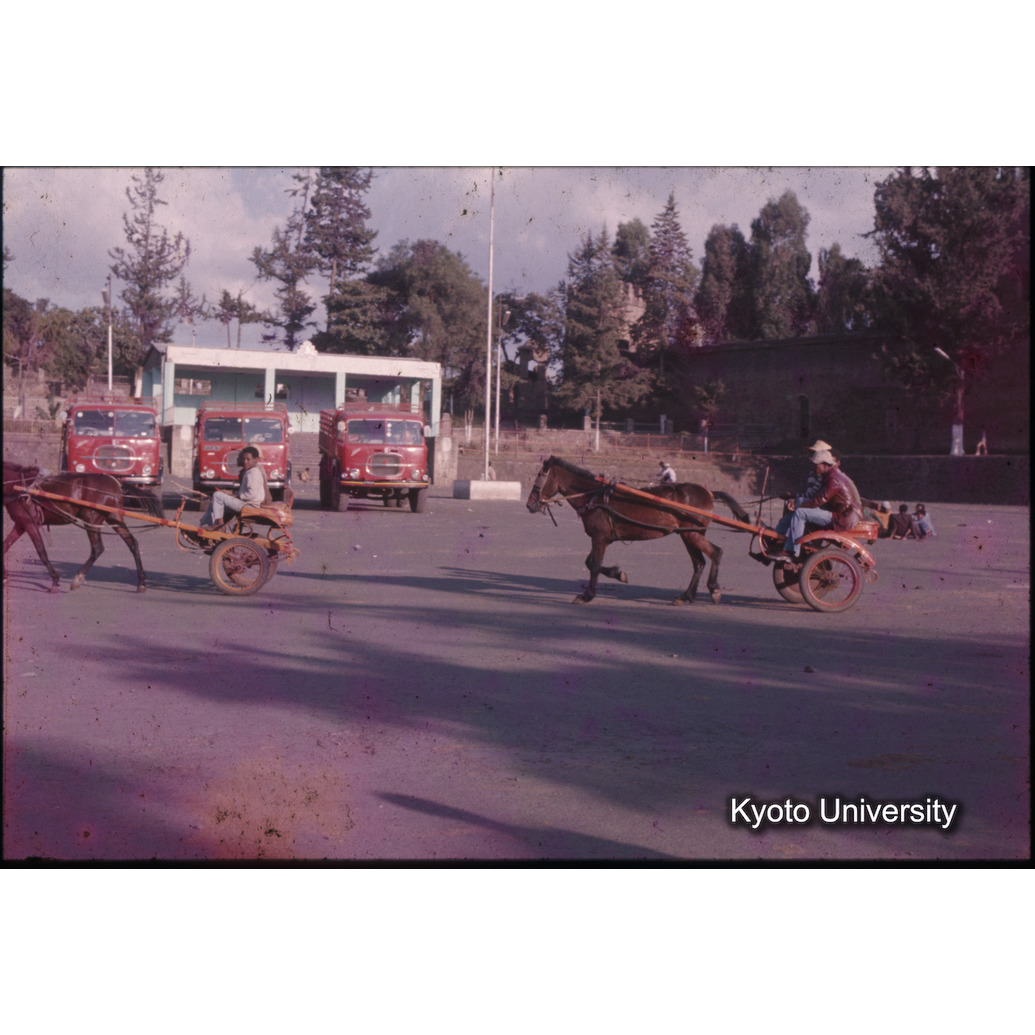 AdAb　1974　37 (1)