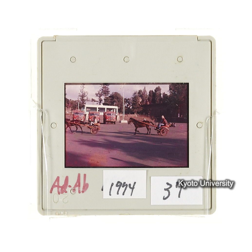 AdAb　1974　37 (2)