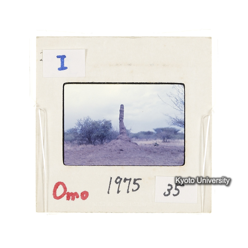 Omo　1975　35 (2)