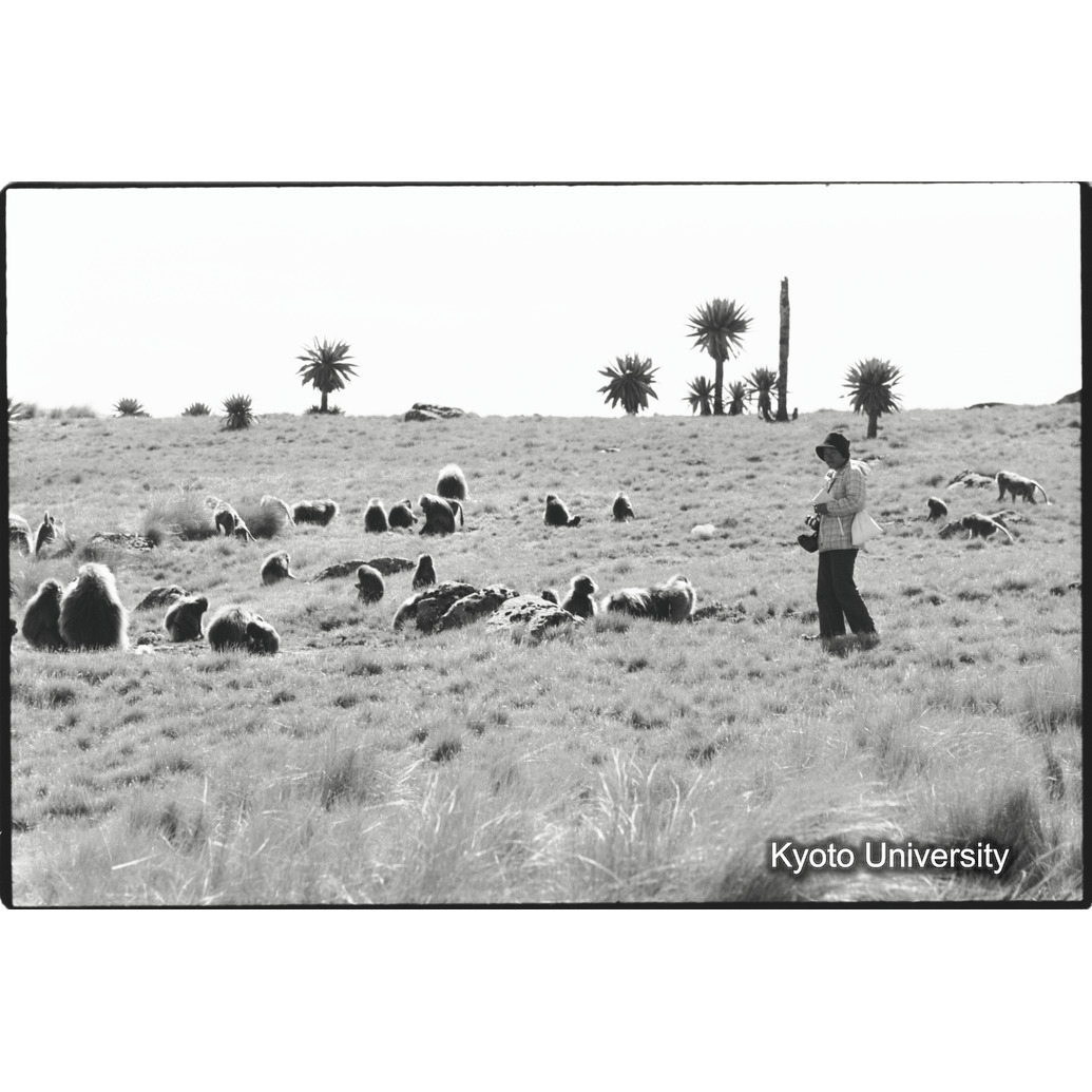 [１１コマ目]「観察」 (1)